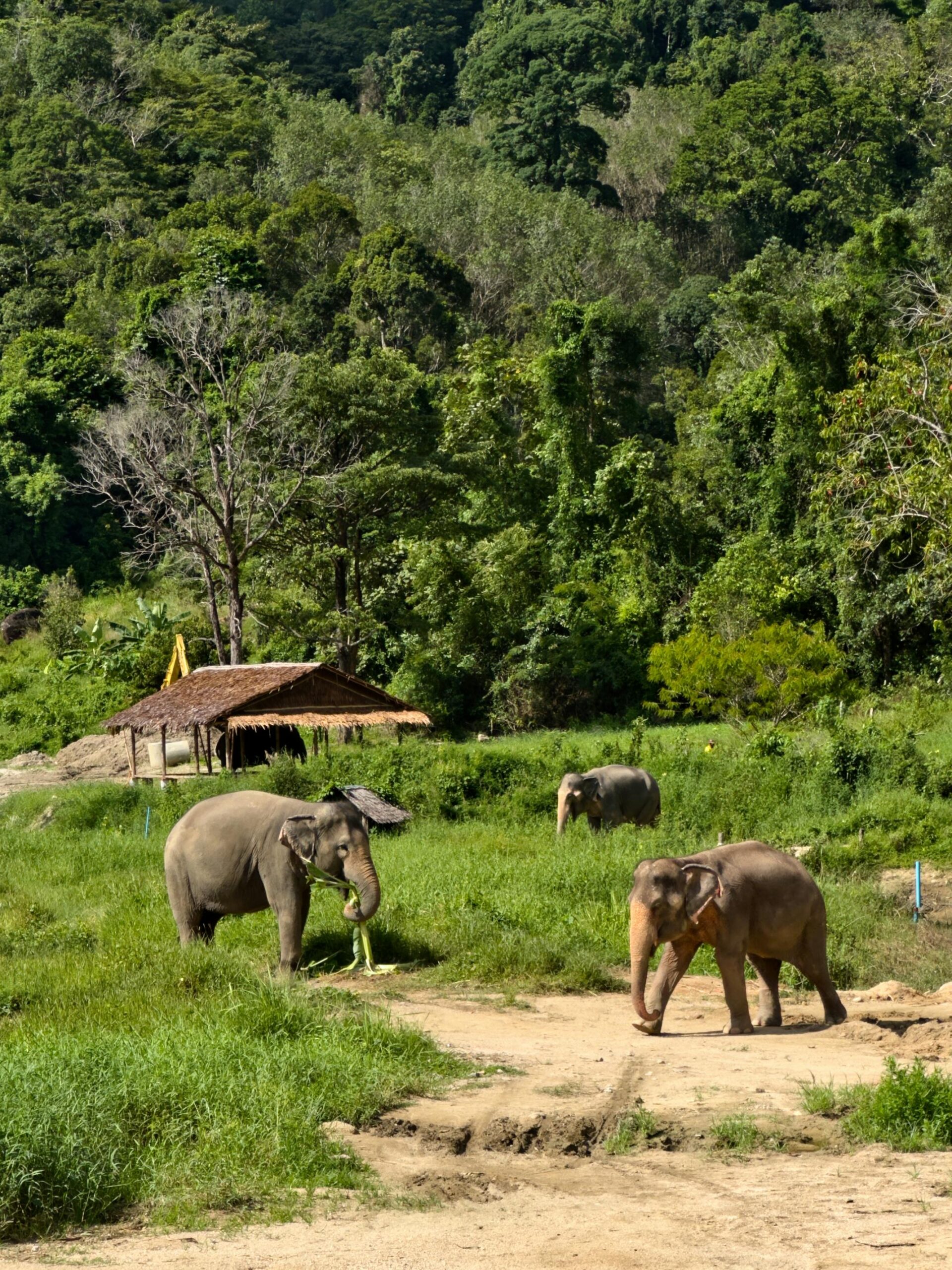 pexels-federicoabisphotography-32763095